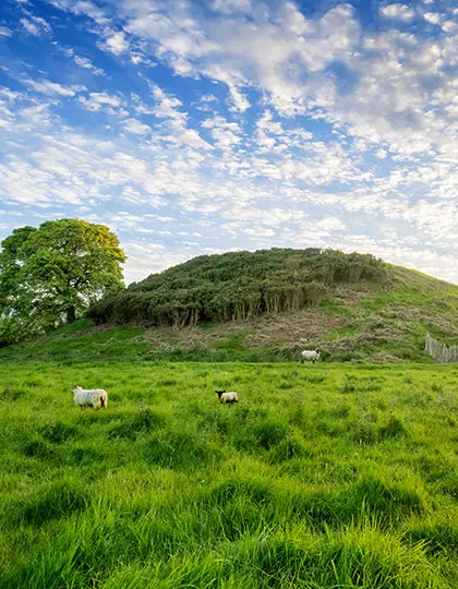 Megalithic passage tomb mound and standing stones in County Meath