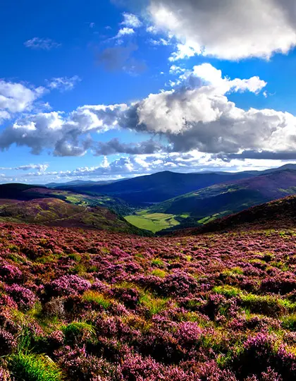 Landscaped gardens and mountain scenery in County Wicklow